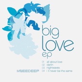 Big Love EP artwork