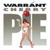 Warrant - Mr. Rainmaker