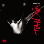 Tian xia - sous le ciel artwork