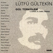 Bir Gönüle Aşk Girince artwork