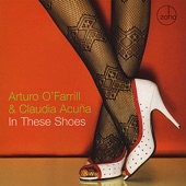 In These Shoes artwork