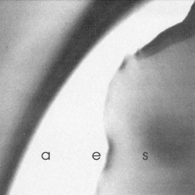 AES - EP - Skepticism