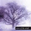 Voice of the Wind album lyrics, reviews, download