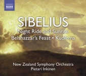 Belshazzar's Feast Suite, Op. 51: III. Nocturne artwork