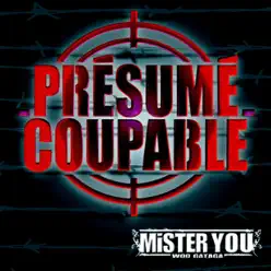 Présumé coupable - Mister You