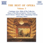 Best of Opera, Vol. 3 artwork