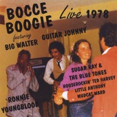 Big Walter Horton, Ronnie Earl, Johnny Nicholas - Walters Boogie