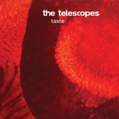 The Telescopes - The Perfect Needle