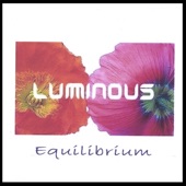 equilibrium artwork