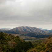 Dirty Projectors - No Embrace