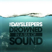 Drowned In a Sea of Sound artwork