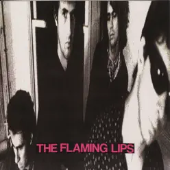 In a Priest Driven Ambulance - The Flaming Lips