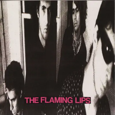 In a Priest Driven Ambulance - The Flaming Lips