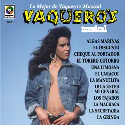 Los Mejor de Vaquero's Musical - Vaqueros Musical