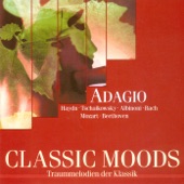 Oboe Concerto in D minor: II. Adagio artwork