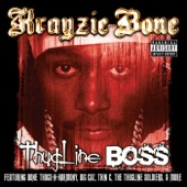 Thugline Boss artwork