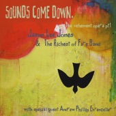 Sounds Come Down: The Vehement Opera Part 1 artwork