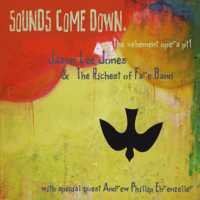Jason Lee Jones - Sounds Come Down: The Vehement Opera Part 1 artwork