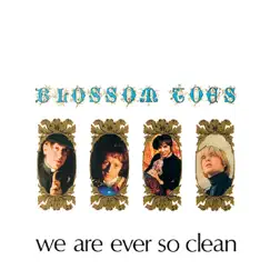 We Are Ever So Clean by Blossom Toes album reviews, ratings, credits