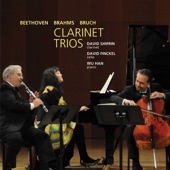 Brahms: Trio in a minor, op. 114 IV. Allegro artwork