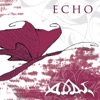 Echo, 2011