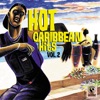 Hot Caribbean Hits Vol. 2, 2011