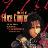 The Best of Alice Cooper artwork