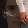 Cédric Tiberghien, Andrew Manze & BBC Scottish Symphony Orchestra - Partita No. 4, BWV 828: VI. Menuet
