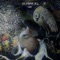 Animal Hides - The Burning Hell lyrics