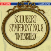 Schubert: Symphony No. 8 'Unfinished' artwork