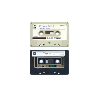 The Early Cassettes - Tapes 5 & 6 - The Triffids