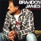 'Cuz of You - Brandon James lyrics