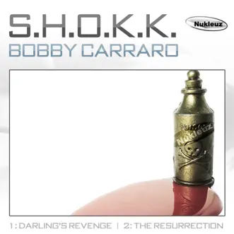 Bobby Carraro (The Resurection) by S.H.O.K.K. song reviws