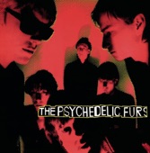 The Psychedelic Furs - India