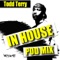 That Feelin (In House Pod Mix) - Todd Terry Project lyrics