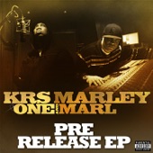 Krs One & Marley Marl - Kill A Rapper