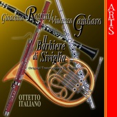 Sinfonia (Gambaro / Rossini) artwork