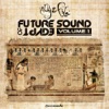 Future Sound of Egypt, Vol. 1
