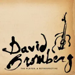 The Player: A Retrospective - David Bromberg The Player: A Retrospective - David Bromberg