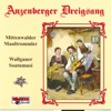 Anzenberger Dreigsang, Mittenwalder Maultrommler & Wallgauer Soatnmusi, 2009
