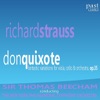 Leonard Bernstein & New York Philharmonic - Don Quixote: Finale - the Death of Don Quixote