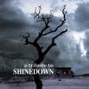 A Tribute to Shinedown