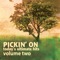 Ticks (Bluegrass Tribute to Brad Paisley) artwork