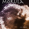 Morula