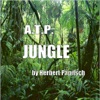 Jungle, 2009