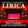 Stream & download Gaetano Donizetti : Don Pasquale, Pagine scelte (I grandi classici della Lirica)