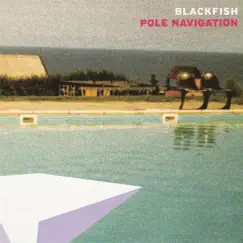 Pole Navigation by Blackfish album reviews, ratings, credits
