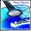 What's Life Without Love (feat. The Wolfman) - Single album lyrics, reviews, download