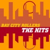 The Hits (Re-Recorded Versions)