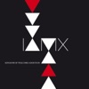 IAMX - The Great Shipwreck of Life